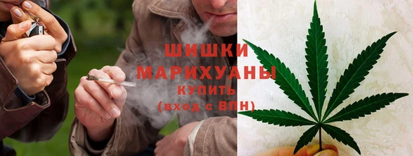 сатива Балахна