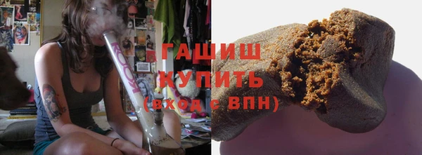 сатива Балахна