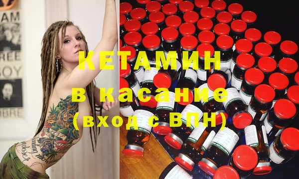 сатива Балахна