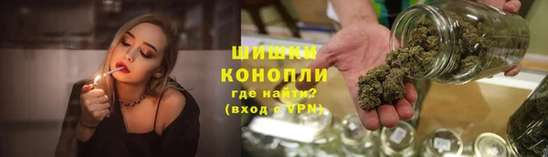 сатива Балахна