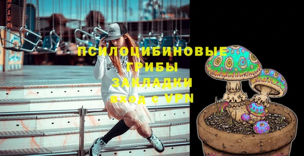 сатива Балахна