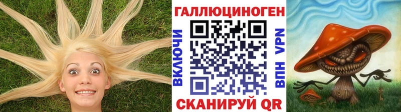 Псилоцибиновые грибы мухоморы ОМГ ОМГ как войти Покровск